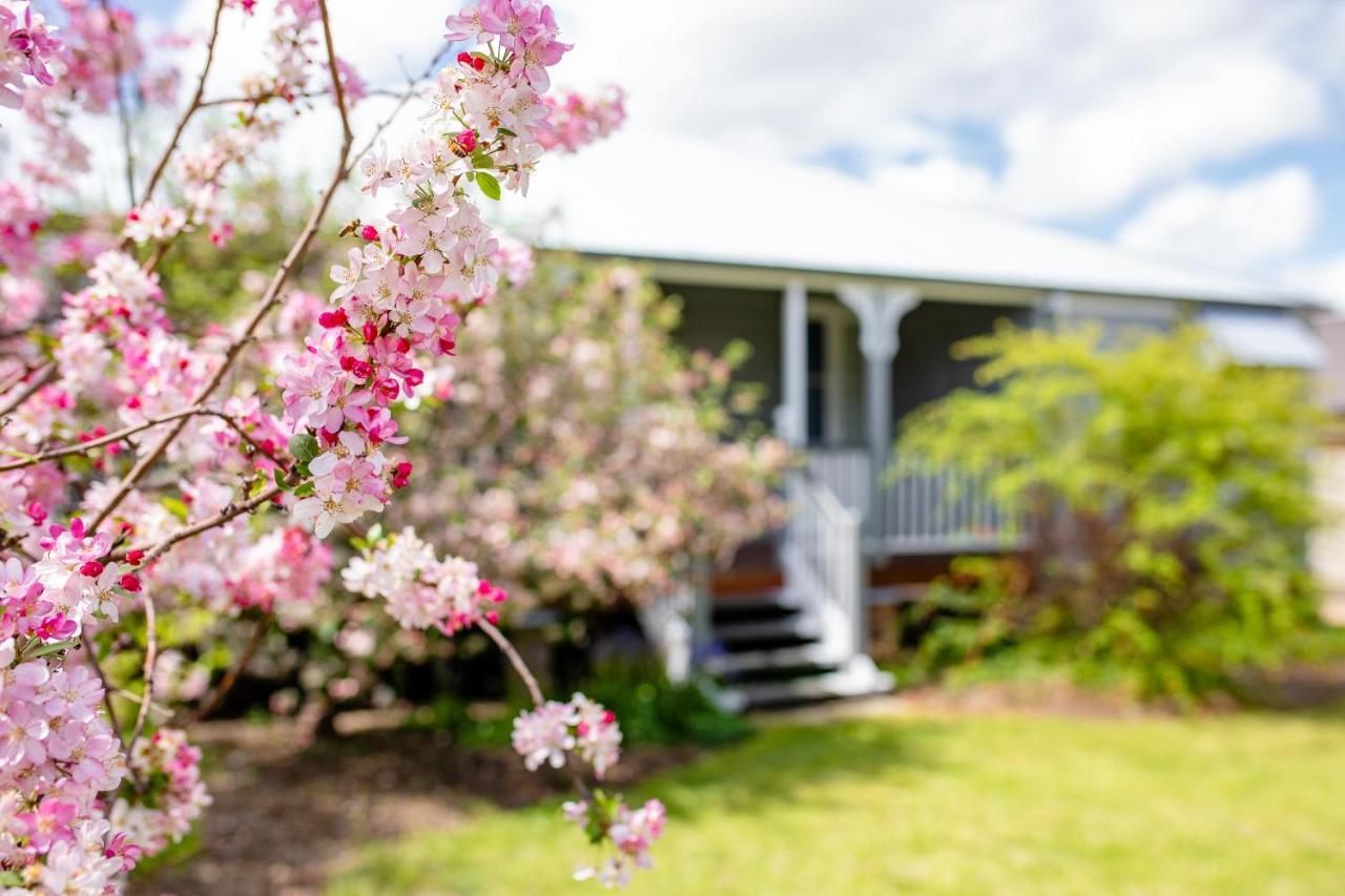 Apple Blossom Cottages Stanthorpe Zewnętrze zdjęcie