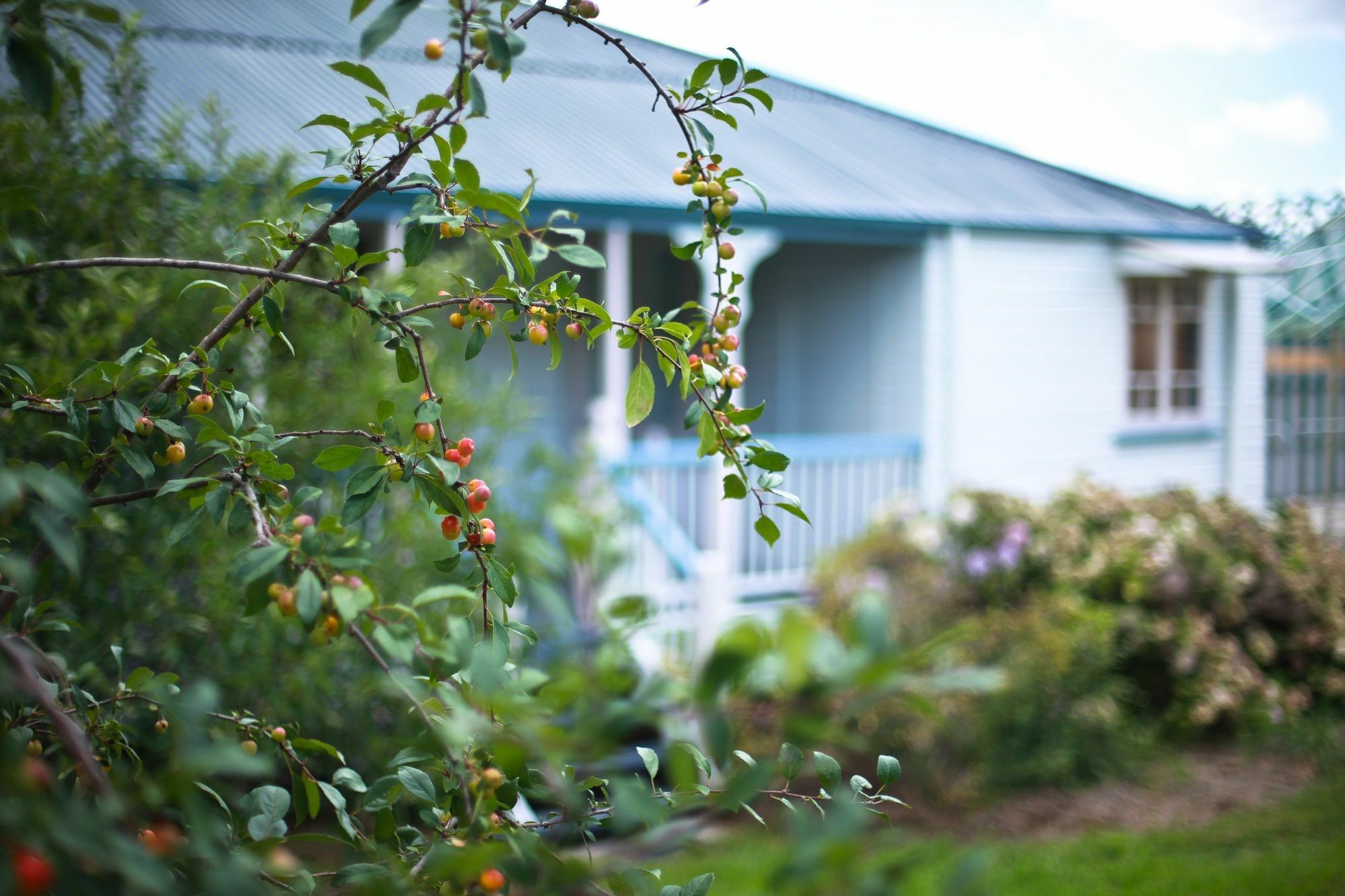 Apple Blossom Cottages Stanthorpe Zewnętrze zdjęcie